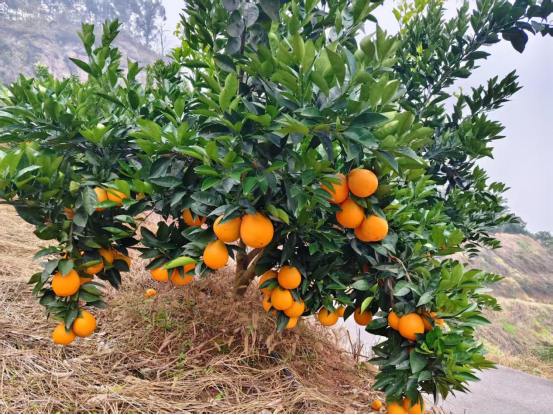 永川“留娃”去处上新→