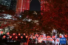 锦绣中国年丨马来西亚：喜气洋洋庆新春图片