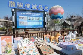 “马背上的星星”关爱孤独症儿童马术疗愈公益活动在济举办图片