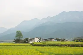 从边缘到主流：乡村建设百年回顾与展望图片