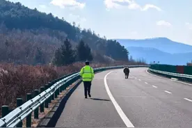 敦化分局：小牛误闯高速 巡逻民警上演“赶牛记” | 一线传真图片