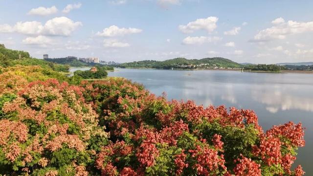 “一湖一寨一牌坊”绘就天府旅游名县新篇章｜县在对话