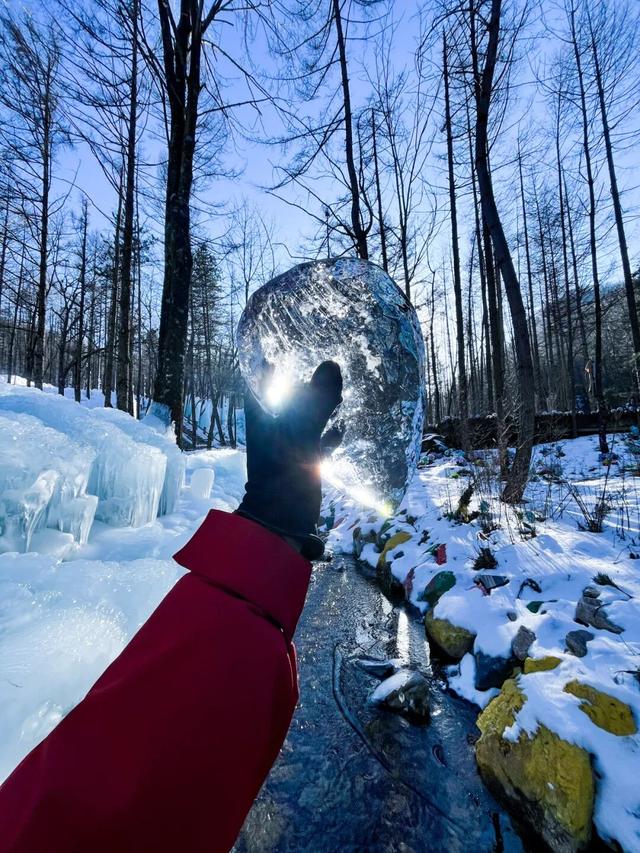 免费申领！白云山冰雪仙境邀您花式玩儿雪！