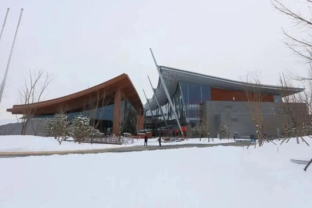 北京下雪了！雪景大片抢先看！外出注意防寒保暖