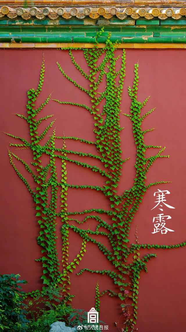 转存收藏！故宫节气图张张都是壁纸