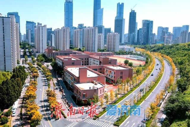 一年四季 泉在济南丨白露过后最美“叶”色上线，秋日新泺大街镶“金边”