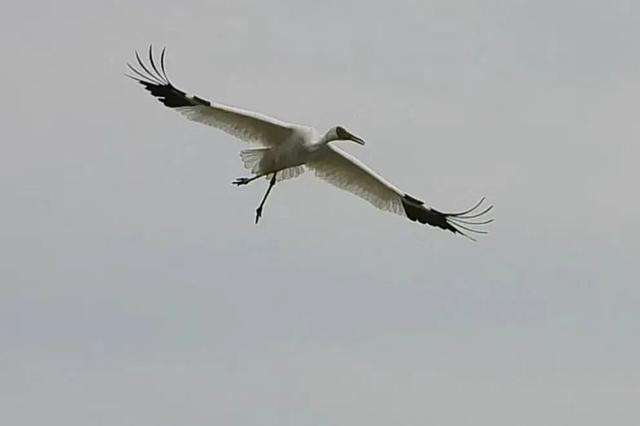 事关跨年，切记：城西这里，不约！不约！