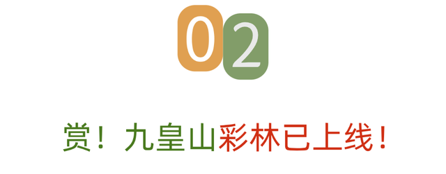 青睐绵阳 ‖ 冲！九皇山打卡领奖牌倒计时不足1个月，彩林秘境同步来袭，赶紧冲！