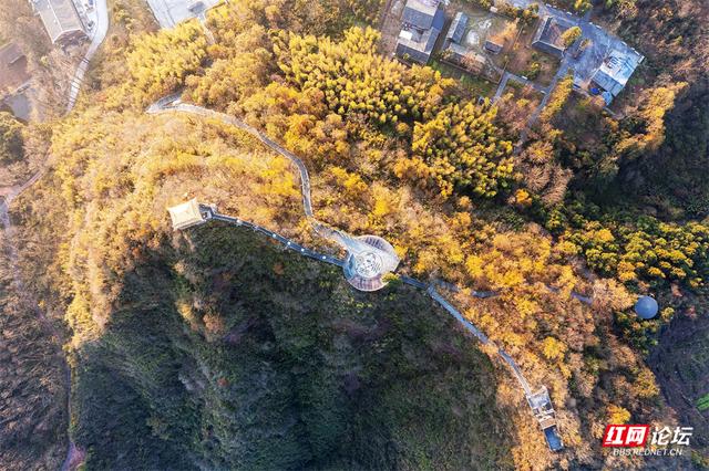 【每日一图@湖南】周末去哪儿？漫步靖州飞山云雾仙境，收藏苗侗冬日浪漫