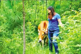 都市“宝妈”回乡当家庭农场主，带出30多个村民直播能手图片