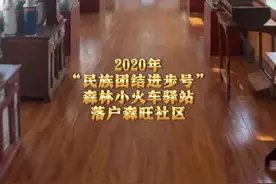 铸牢共同体 中华一家亲 | 真拉风！社区里有列小火车！图片