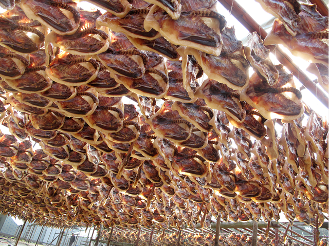 提到家乡韶关，张颂文就是那么“傲娇”！