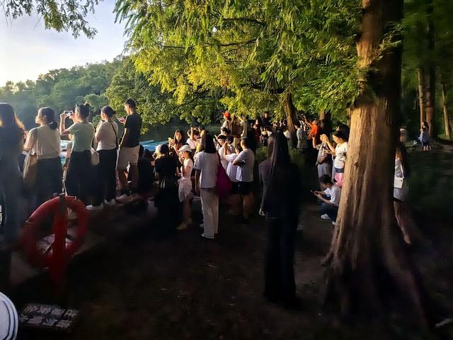 晚潮｜西湖边的一束光，何以引无数人前往？