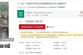 深圳豪宅别墅9563万元起拍，起拍单价约13.99万元/㎡图片
