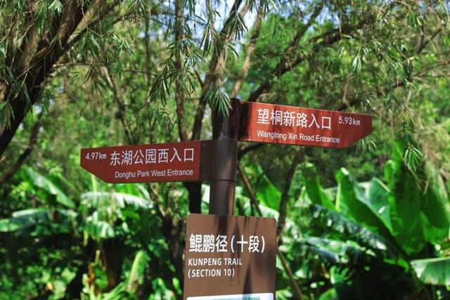 7公里黄金绿道！一天尽揽湖光山色