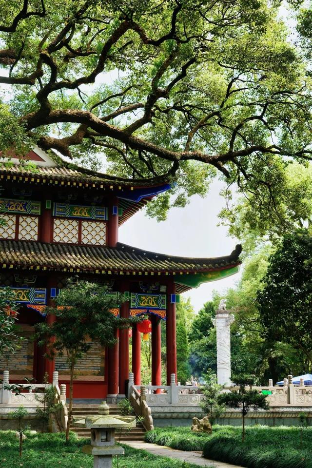 苏L赣L齐“挨欧”，常州逆袭“十三妹”！龙虎山豪送畅游年卡！