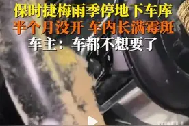 停地库半个月，保时捷车内发霉了！还有车方向盘长出小蘑菇？图片