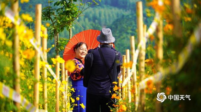 百色福禄河湿地公园：秋日花海绚烂 市民尽享浪漫时光