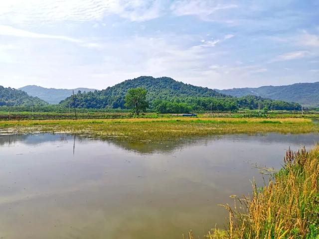 木瓜铺 | 黄亚明
