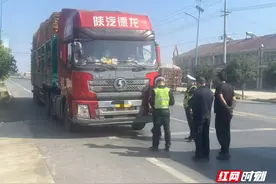 澧县：一男子准驾不符被查图片