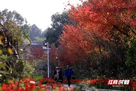 2023湖南省青少年自然教育绿色营地名录公布 省植物园等10单位入选图片