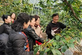 巾帼风采绽光芒！山亭区桑村镇多彩活动庆“三八”图片