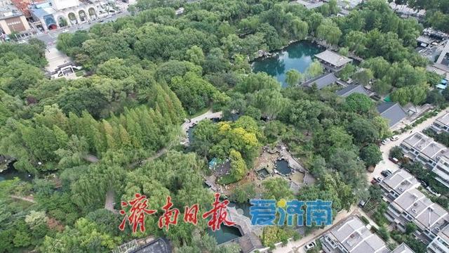 一年四季 泉在济南｜夏秋交替 泉景醉游人