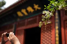 3月27日多云间阴，北风四级左右（阵风七八级），最高气温14℃图片
