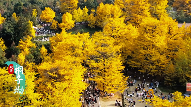 湘超永州丨《出师表·战长沙》