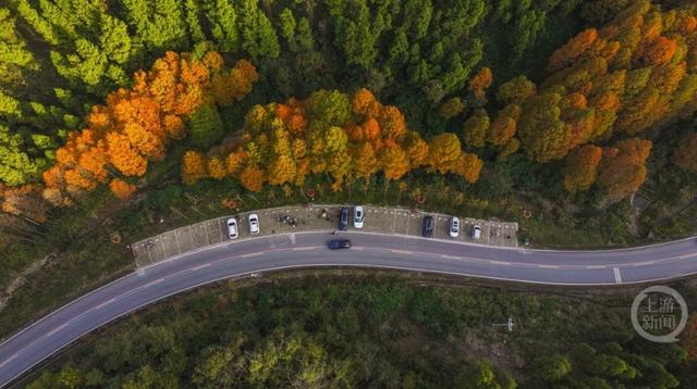 彩林进入黄金期，这条旅游公路美出圈！