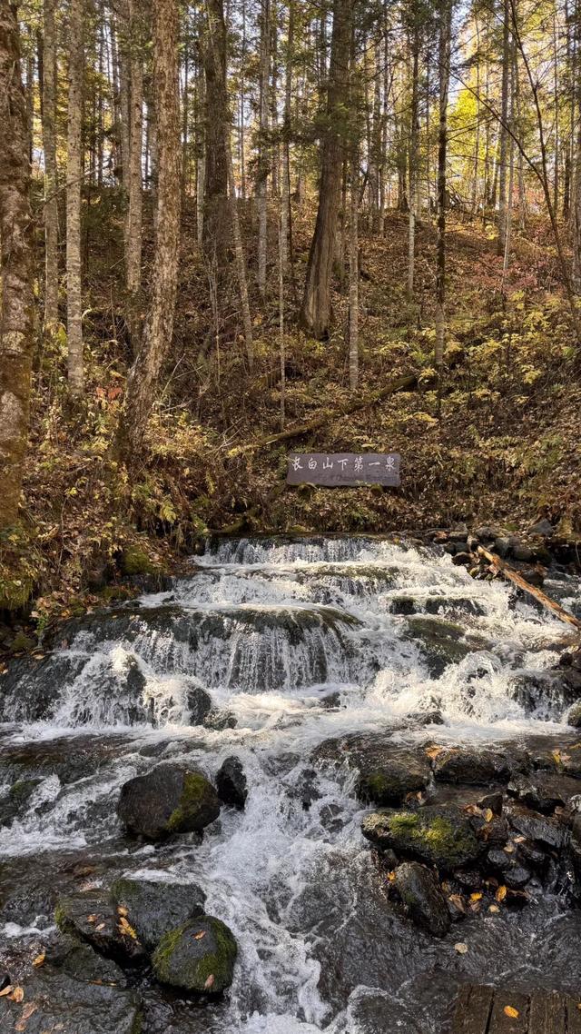 假期闲记（二）