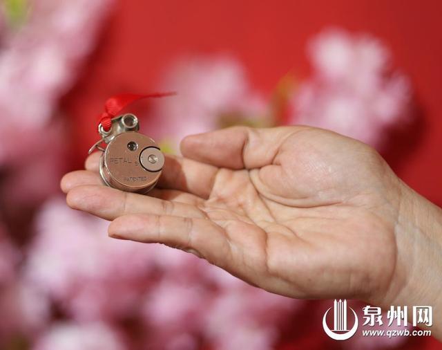 老相机的“别样人生”：百年镜语 胶片相机的时光之约