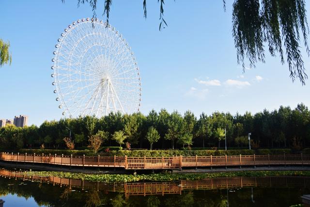 组图丨武威秋景：满目斑斓色 一园清雅风