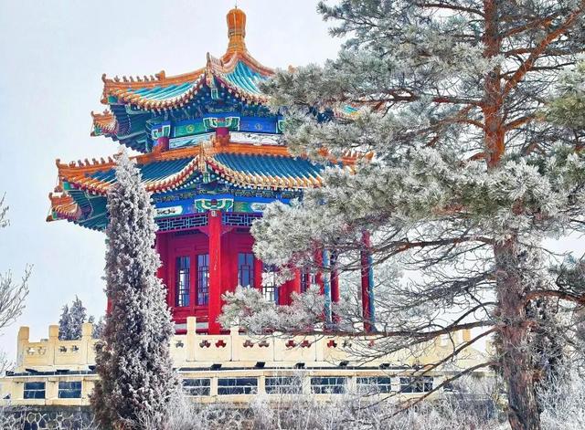 遇见2025年五大连池第一场雪，年年落雪，雪落年年～
