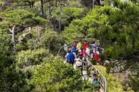 江西三清山：服务不打烊 美景随心赏图片