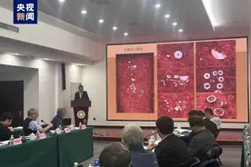 重磅！良渚古城及水利系统遗址等4项考古最新进展，国家文物局发布→图片