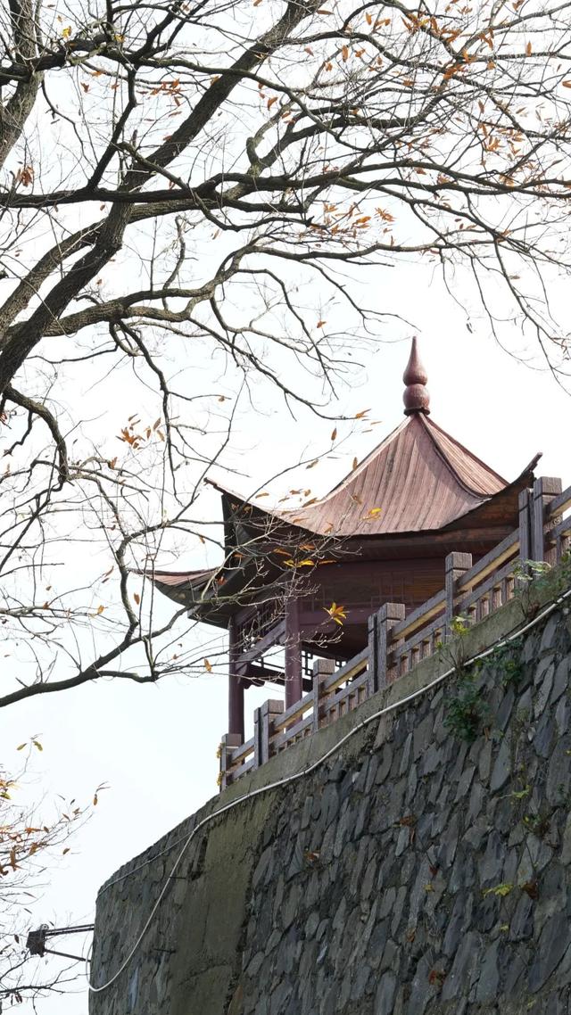 如果你要写六合的秋天，就不能只写……