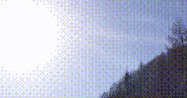 年假清零，总要留几天给洛阳