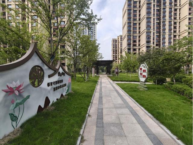 新文化，新生活——淄博市张店区2025公共文化设施焕新登场