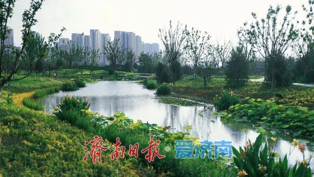 白泉湿地公园对外开放吸引众多市民关注