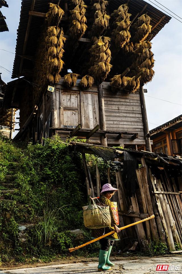 跟着网友游贵州丨黄岗侗寨：在深山邂逅世界级乡村魅力