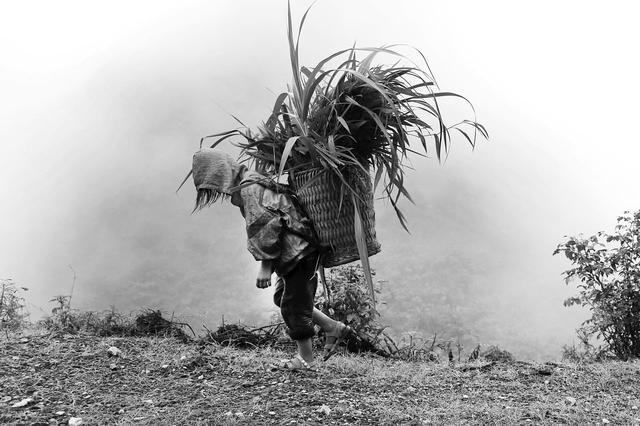 边境上的那一片玉米地