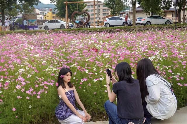 连本地人都没去过！泉州小众漫游指南