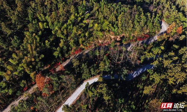 岁暖时刻丨无需远行，中坡山便是怀化的诗与远方