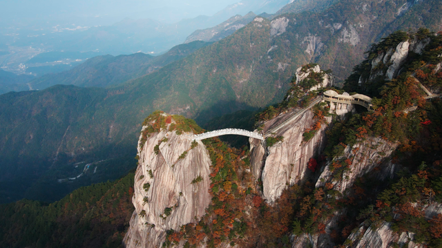 秋天来罗田，好“柿”正发生！