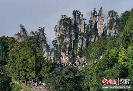 湖南张家界：峰起云间醉游人