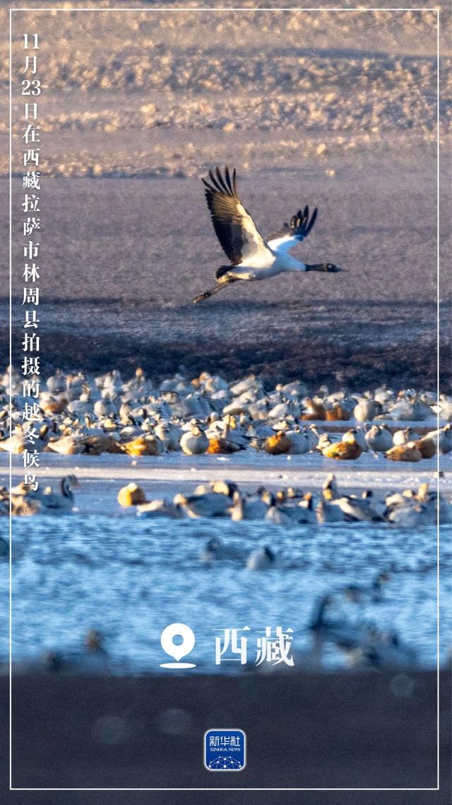 “初冬限定”美景上线！一起来欣赏吧