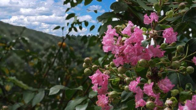 鹤峰容美：山水秘境——老庄