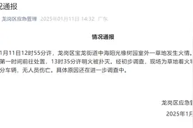 深圳市龙岗区通报一草地发生火情：草地着火导致引燃部分车辆，无人员伤亡图片