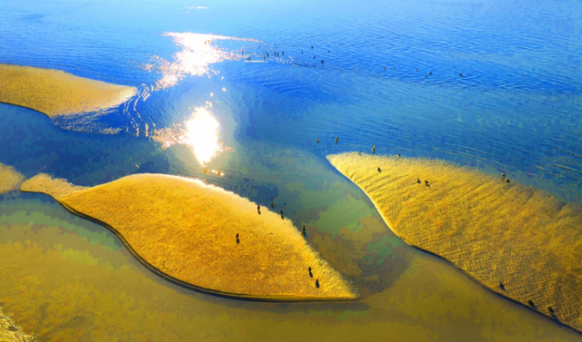 候鸟栖息铁锚洲 十年禁渔成美景